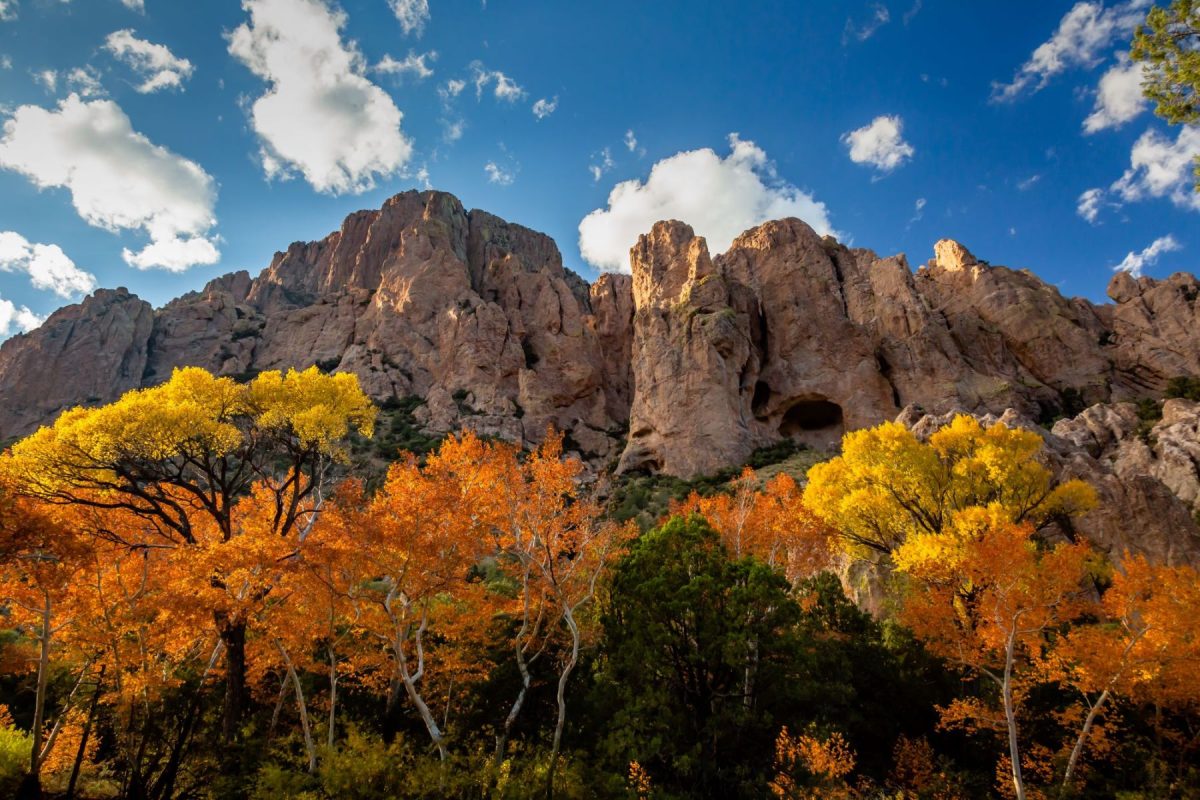 Cave Creek Market Report